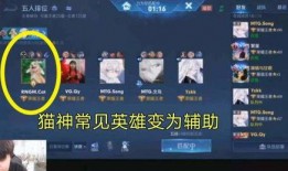 爆料猫神转位视频大全,揭秘神秘技能背后的精彩瞬间